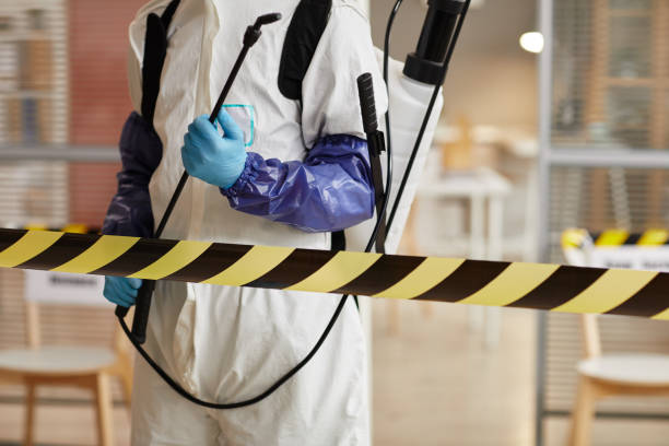 Professional Biohazard technician working in Sloan, NY